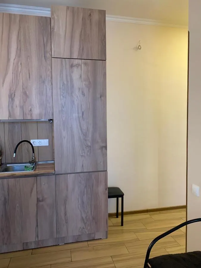 Melikishvili Str. Apartment ティビリシ
